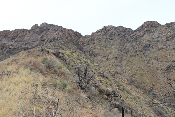 The Upper Gully and the Mundo Perdido summit (R) from the upper ESE Ridge