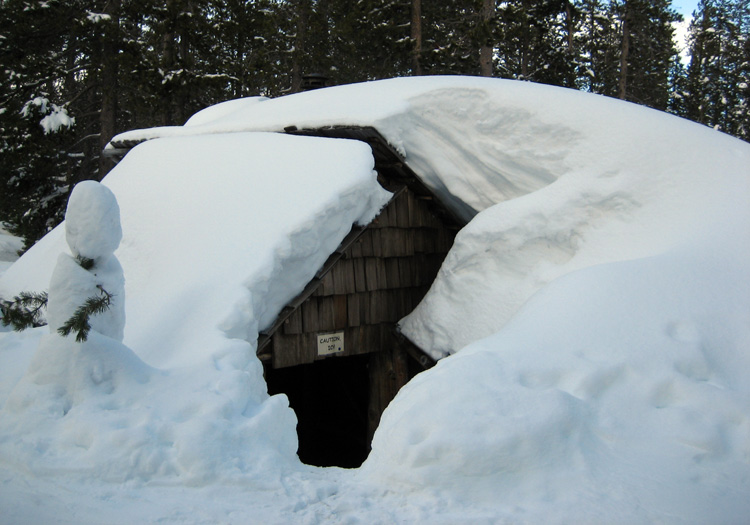 Swampy Lakes Shelter