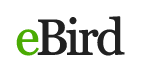 eBird.org