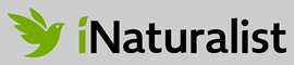 Paul's observations on iNaturalist.org