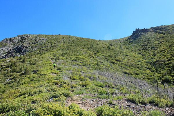 Michael Berry leads the way up the southwest slope of Big Craggies