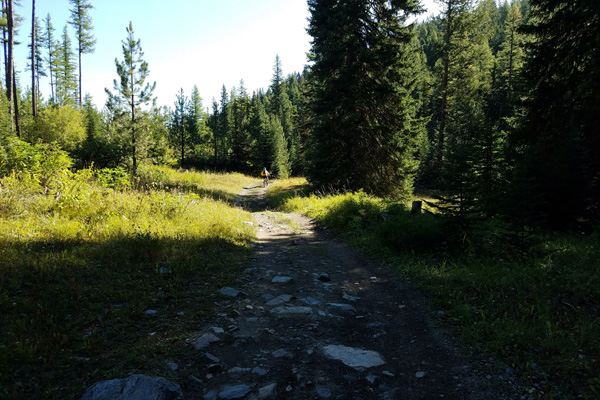 Linda begins her descent and approaches the curve where the road becomes challenging