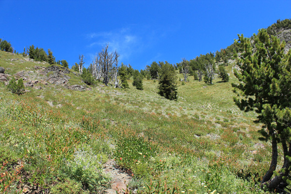 The trail switchbacks up this steep slope to a saddle