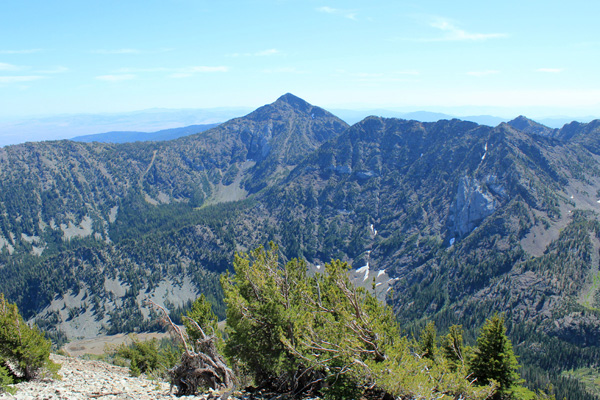 Elkhorn Peak from Cougar Pond SE Peak summit