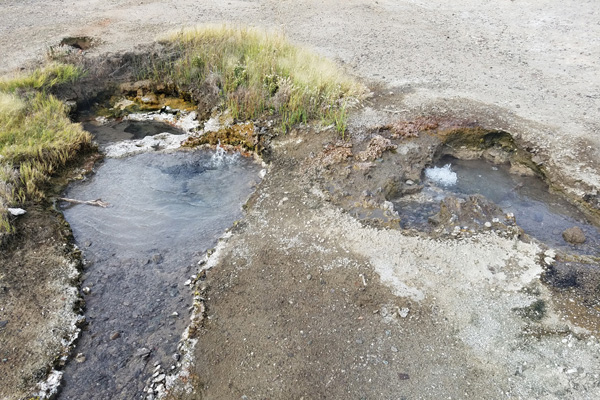 Bubbling pools at Mickey Hot Springs