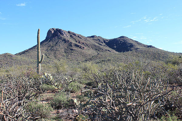 My view of the Artesa Mountains from the corral