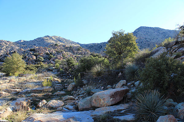 Low on our approach we followed an intermittent stream towards our peak