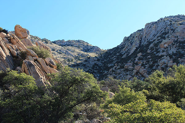 Our first view up the northwest gully