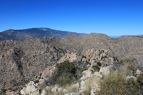 Mica Mountain (left) and Forest Hill (right), highpoints of the Rincon and Little Rincon Mountains