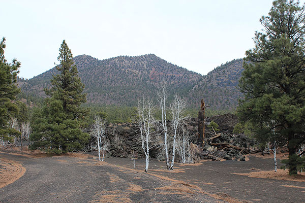 O'Leary Peak summit (left) and Lookout (right) from the closed Lookout Road