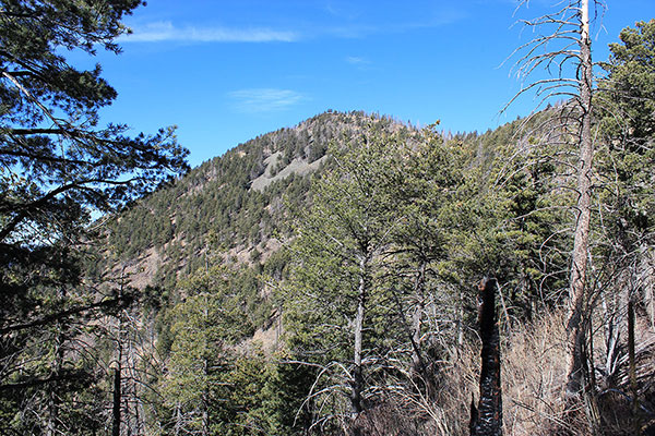 Kendrick Peak Lookout from higher on the Kendrick Mountain Trail