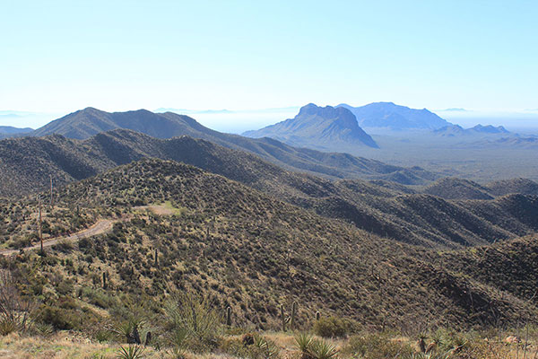 Looking south along the spine of the Quijotoa Mountains towards Ben Nevis and South Mountains