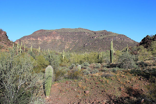 Silver Reef Mountain Highpoint from the South