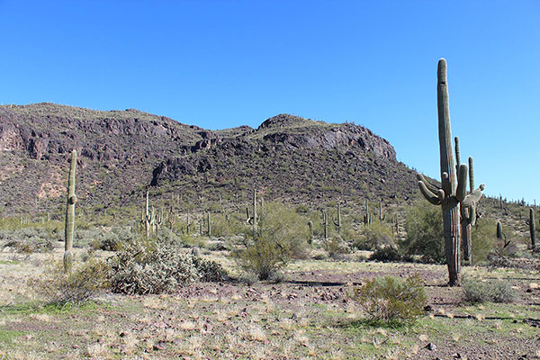 We approach the West Gully which will lead us towards the summit