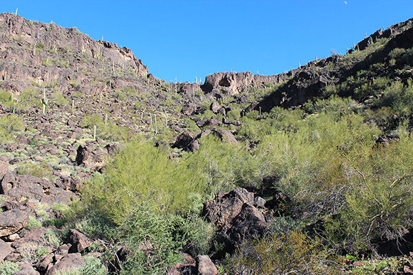 We climbed the rocky West Gully through the cliffs at the top and entered a small basin higher