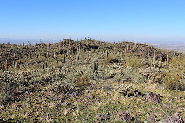 Across the summit ridge towards an alternative highpoint that looked lower but was topped with a tall metal pole