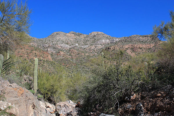 The south face from the wash. The false summit is the point just left of center.