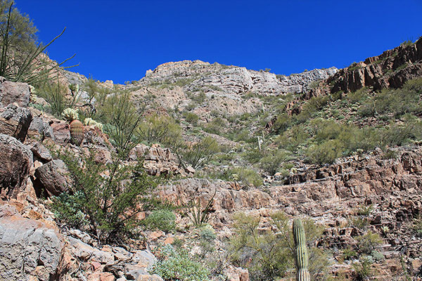 Our route up the south face led over ledges and up talus slopes around cliffs