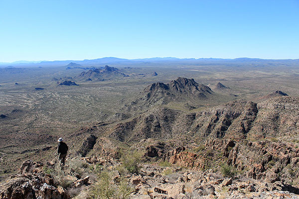 Looking west towards Cimarron Peak and the distant Sauceda Mountains