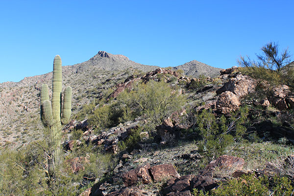 The view from low on the SE Ridge