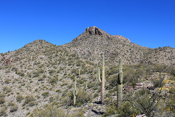 Looking up the upper Southeast Ridge