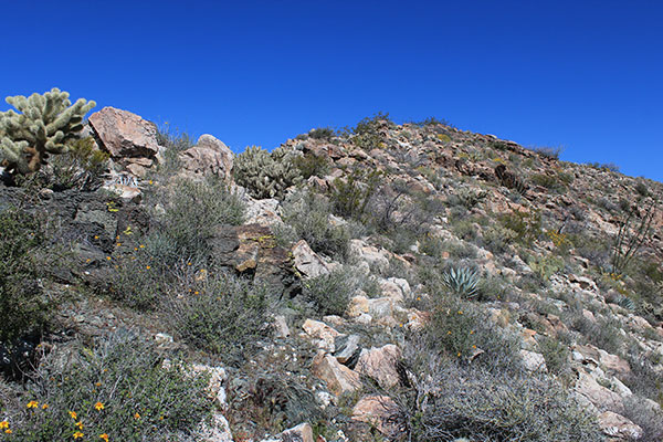 The last few feet to the summit of Buckskin Benchmark