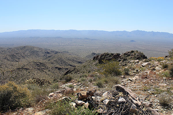 The Harcuvar Mountains and the SE Canyon from the Buckskin Benchmark summit