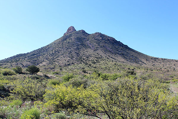 North College Peak from my parking spot. I climbed the steep north ridge left of the shallow draw in center.