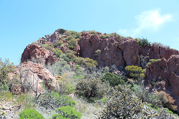 The rocky and brushy ramp leading above the cliff band