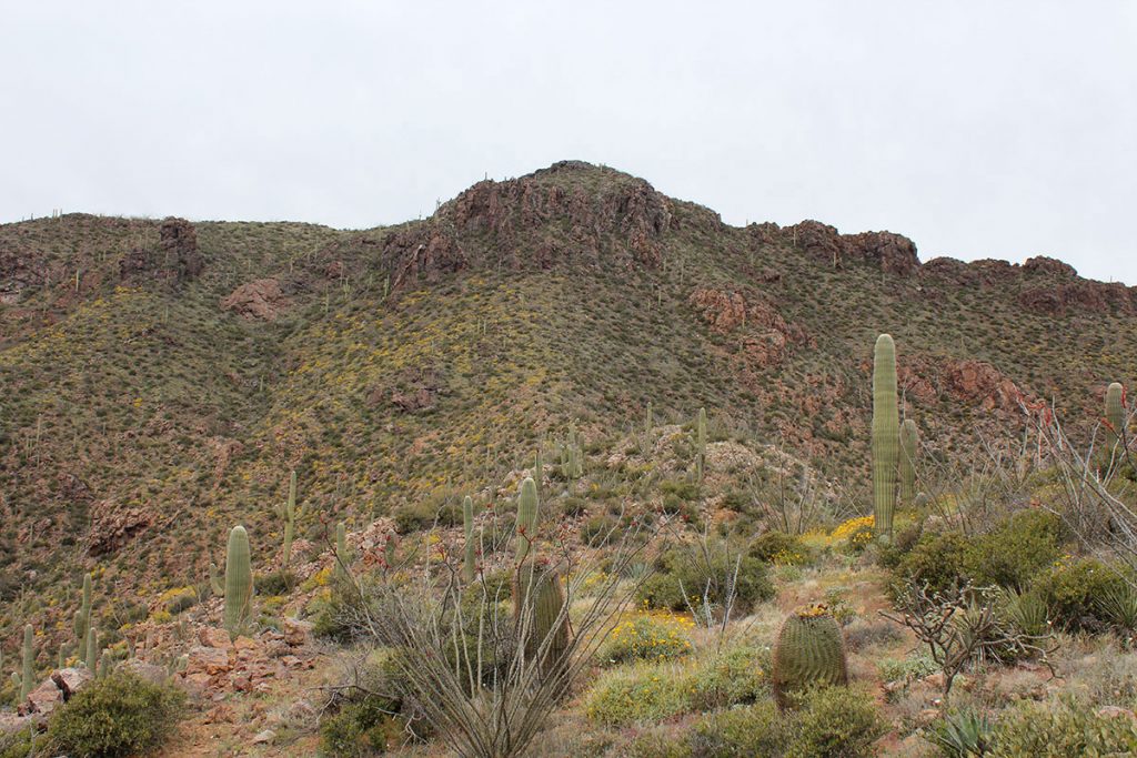 The southeast ridge leads directly towards cliffs and Como Benchmark above