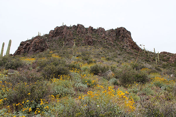 Approaching the cliffs from below