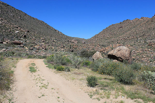 The SE Canyon road leads between rocky slopes to a saddle in the distance