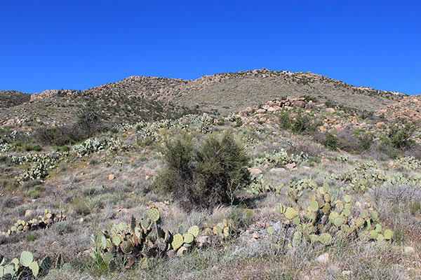 I left the road here and climbed directly up the east slopes above