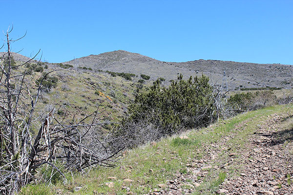 The west slopes of West Cedar Mountain from the road hike