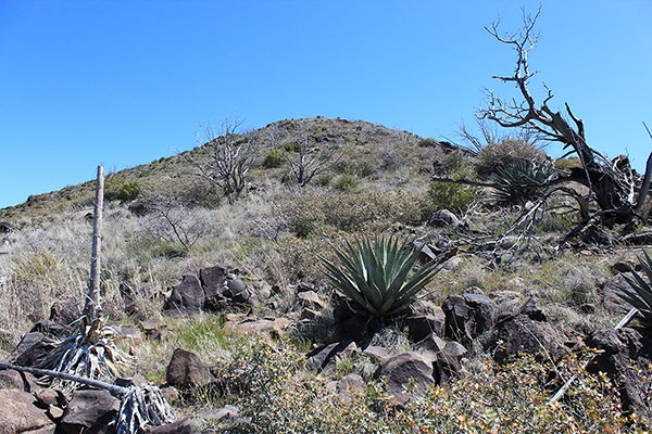 Looking up the last few hundred feet to the summit