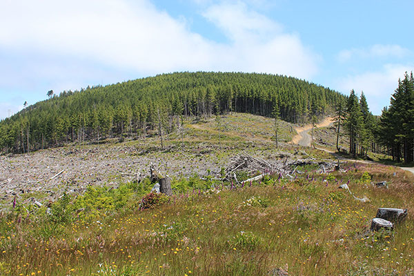 The afternoon view of Edson Butte. We followed the road up on the right.