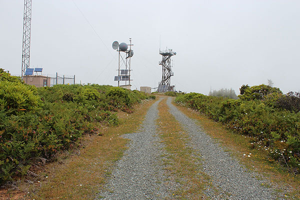 The Edson Butte summit towers. The summit is near the lookout tower on the right.