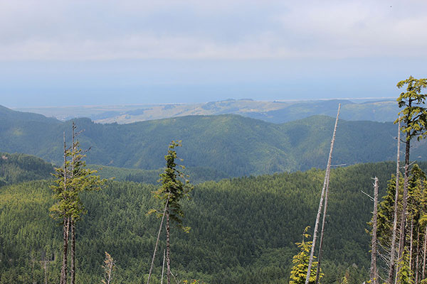 The Pacific Ocean and beaches to the west from Edson Butte summit.