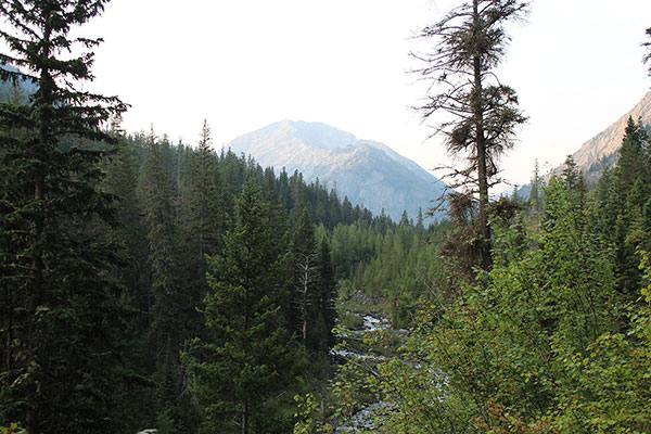 The Northwest Ridge of Sacajawea Peak, the highest peak in the Wallowa Mountains, from the Hurricane Creek Trail