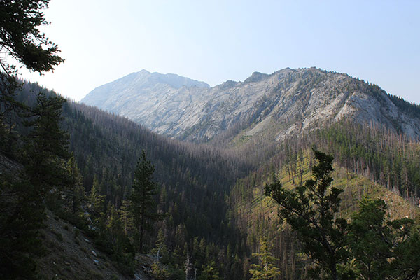 A view of Sacajawea Peak's Northwest Ridge from the Thorp Creek Trail