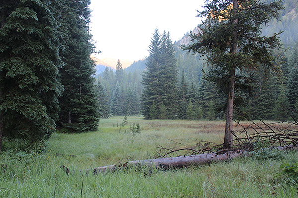 Eilertson Meadow from my parking spot