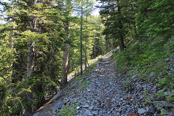 The ATV track passes trail junctions and becomes the Highland Trail