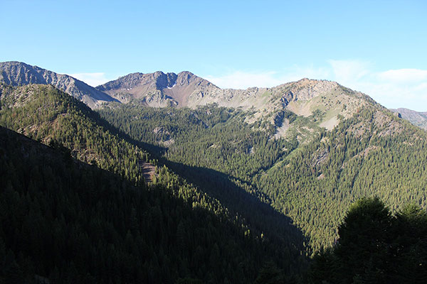 Looking across towards the Cougar Basin from the Highland Trail in morning light
