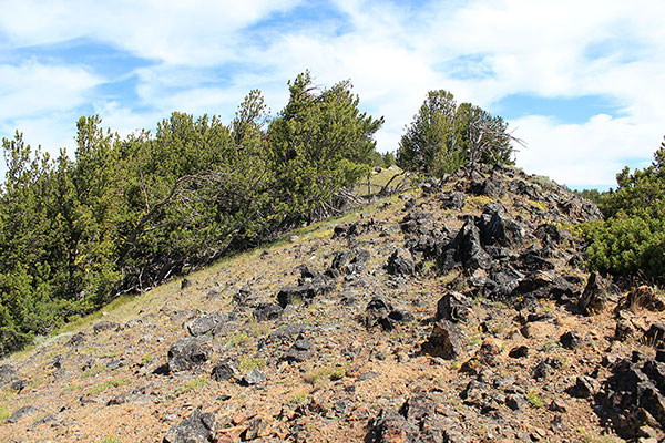 The south ridge of Maxwell Benchmark is an easy climb with great views