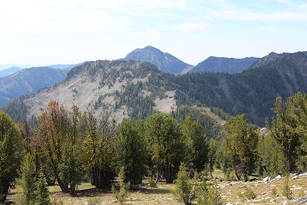 Peak 8615 and Elkhorn Peak beyond it from high on Maxwell Benchmark