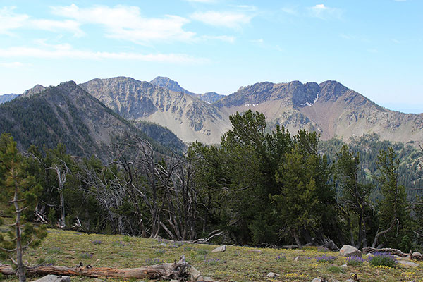 Rock Creek Butte appears behind the Cougar Pond Peaks from high on Maxwell Benchmark