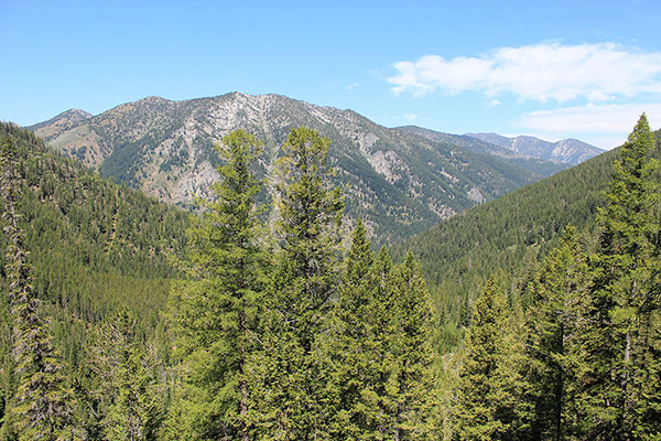 Chloride Ridge from low on the Highland Trail. Twin Mountain lies beyond to the right