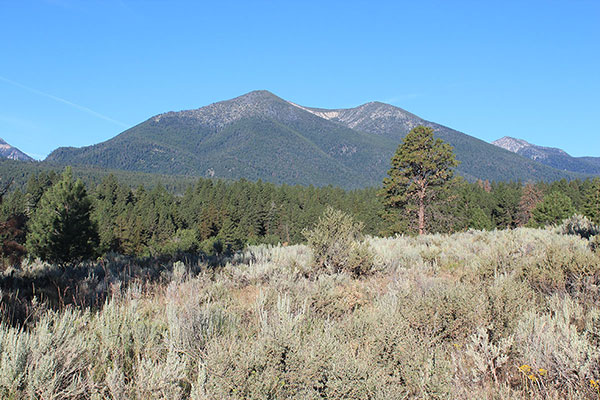 Twin Mountain from Bulger Flat Road