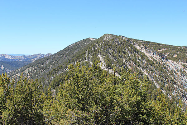West from Peak 8566, Powder Benchmark rises in the center with the Twin Mountain summit beyond to the left.