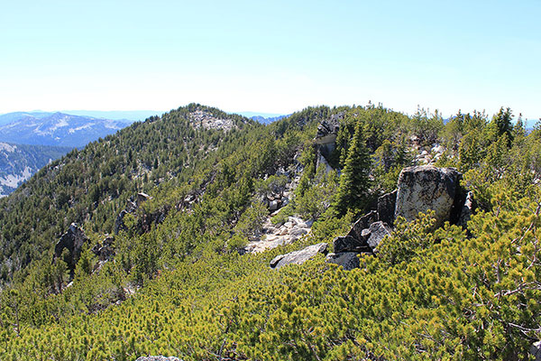 The summit of Twin Mountain on the left from Powder Benchmark